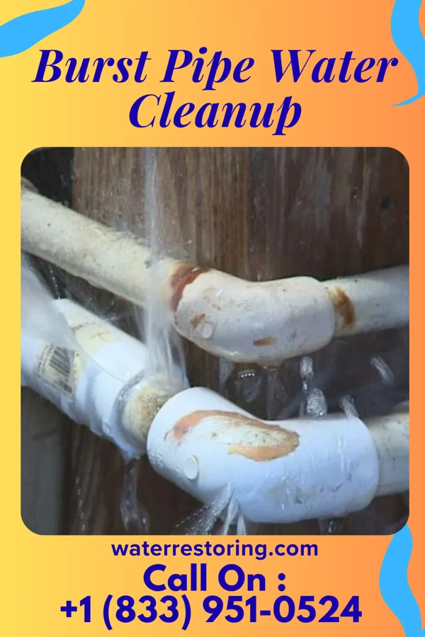 Burst Pipe Water Cleanup in Conneaut, OH