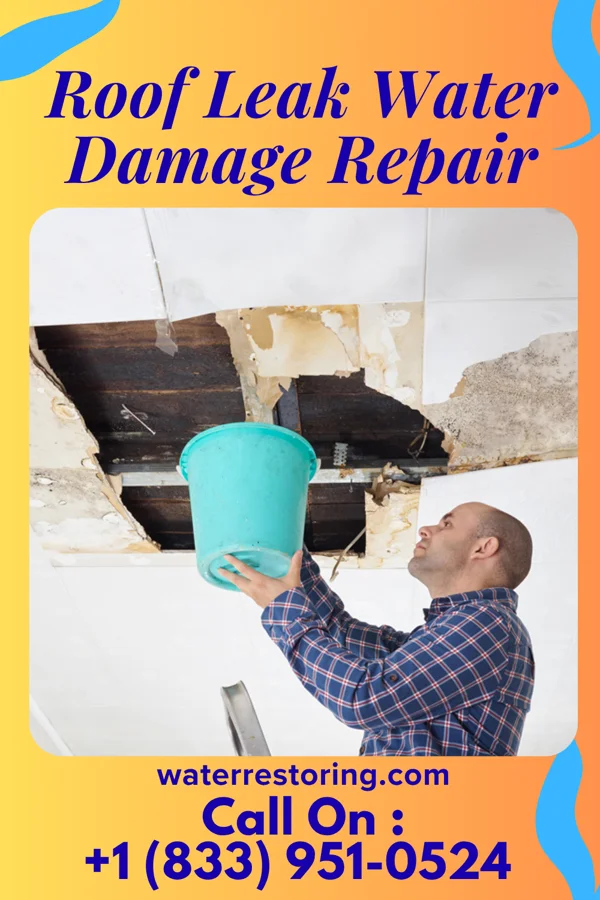 Roof Leak Water Damage Repair in Conneaut, OH